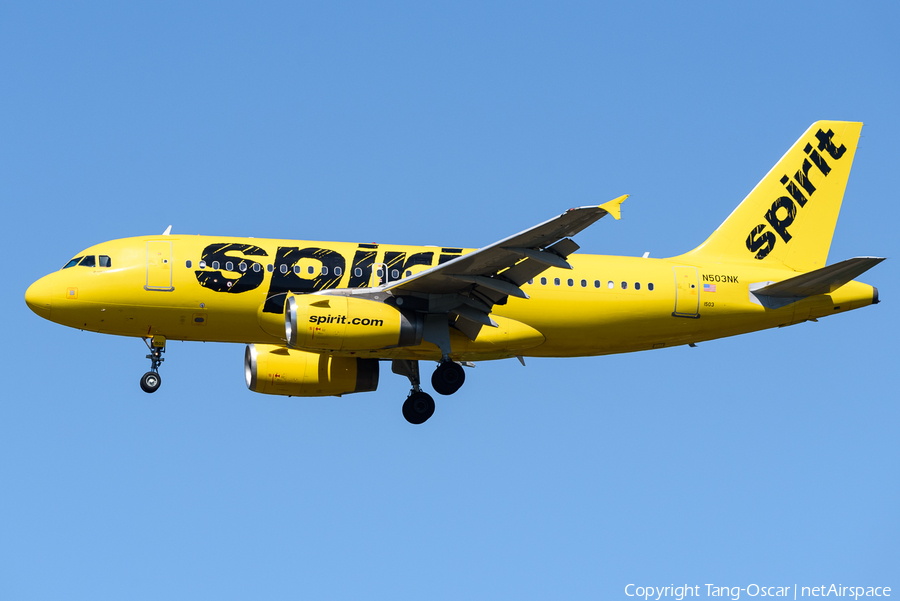 Spirit Airlines Airbus A319-132 (N503NK) | Photo 449904