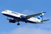 JetBlue Airways Airbus A320-232 (N504JB) at  Boston - Logan International, United States
