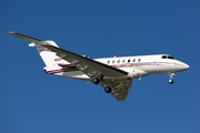 (Private) Raytheon Hawker 4000 Horizon (N50GP) at  Dallas - Love Field, United States