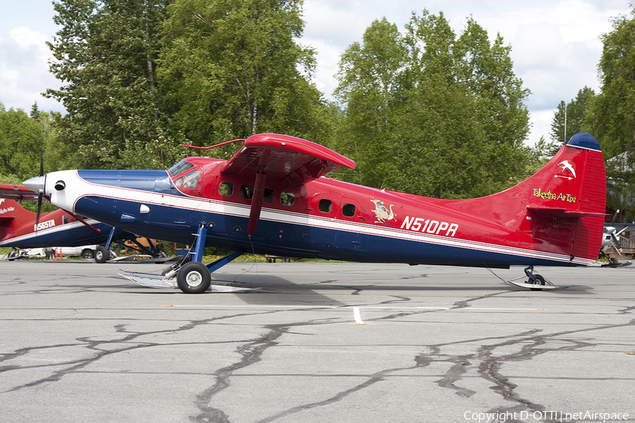 Talkeetna Air Taxi de Havilland Canada DHC-3T Turbo Otter (N510PR) | Photo 363074