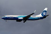 Alaska Airlines Boeing 737-890 (N512AS) at  Seattle/Tacoma - International, United States