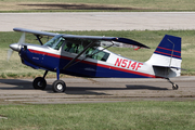 (Private) American Champion 8GCBC Scout (N514F) at  Oshkosh - Wittman Regional, United States