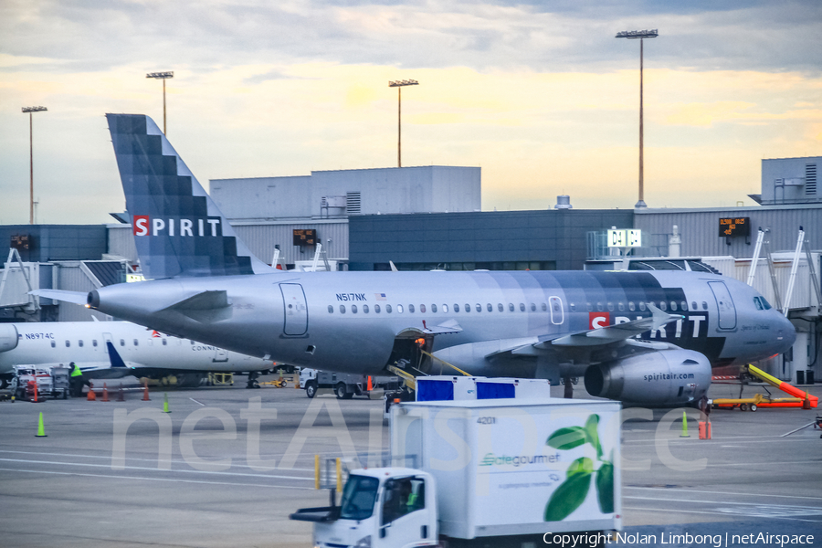 Spirit Airlines Airbus A319-132 (N517NK) | Photo 438482