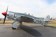 (Private) Hawker Sea Fury T.20 (N51SF) at  Oshkosh - Wittman Regional, United States