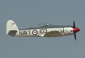 (Private) Hawker Sea Fury T.20 (N51SF) at  Oshkosh - Wittman Regional, United States