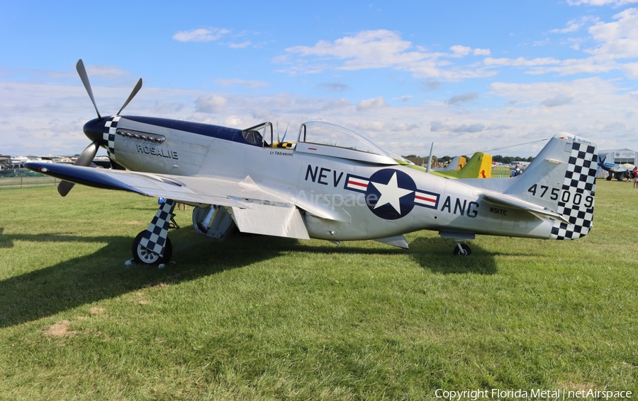 (Private) North American P-51D Mustang (N51TC) | Photo 556402