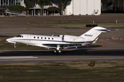 (Private) Cessna 750 Citation X+ (N520CX) at  Dallas - Love Field, United States