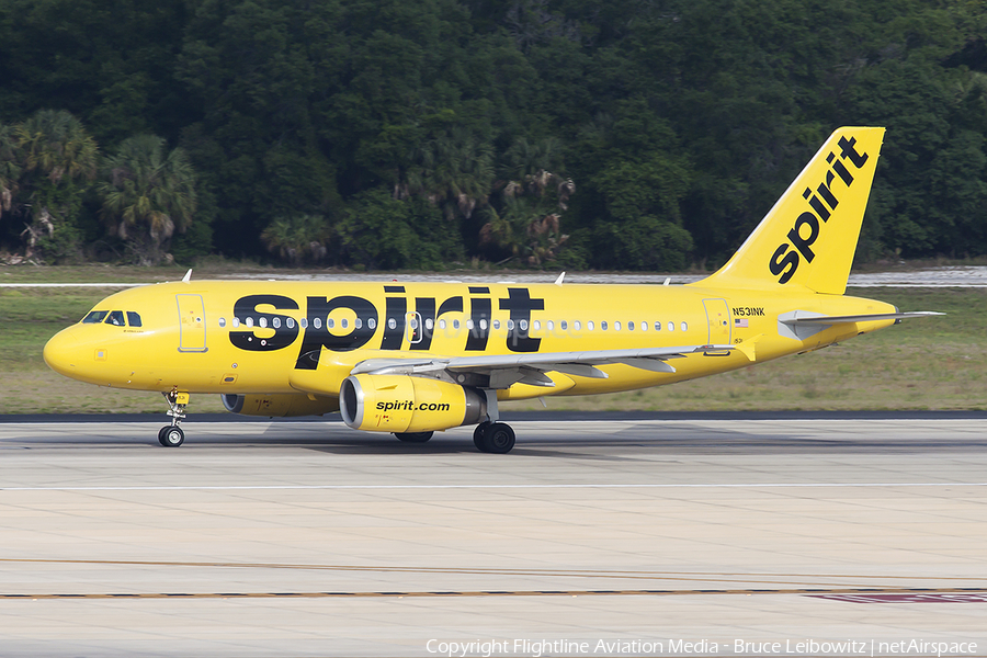 Spirit Airlines Airbus A319-132 (N531NK) | Photo 449110