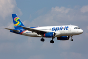 Spirit Airlines Airbus A319-112 (N534NK) at  Dallas/Ft. Worth - International, United States
