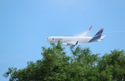 LATAM Cargo Chile Boeing 767-316F(ER) (N536LA) at  San Jose - Juan Santamaria International, Costa Rica