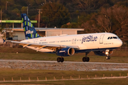 JetBlue Airways Airbus A320-232 (N537JT) at  Tampa - International, United States