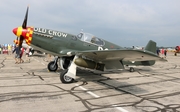 (Private) North American P-51B Mustang (N551E) at  Detroit - Willow Run, United States