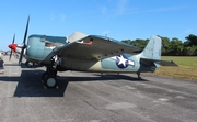 (Private) General Motors FM-2 Wildcat (N551TC) at  Witham Field, United States
