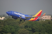 Southwest Airlines Boeing 737-7BD (N556WN) at  Tampa - International, United States