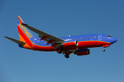 Southwest Airlines Boeing 737-790 (N557WN) at  Dallas - Love Field, United States