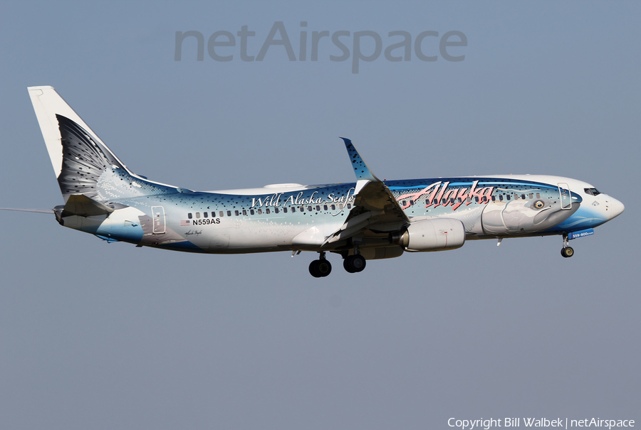 Alaska Airlines Boeing 737-890 (N559AS) | Photo 517141