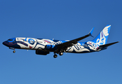 Alaska Airlines Boeing 737-890 (N559AS) at  Dallas/Ft. Worth - International, United States