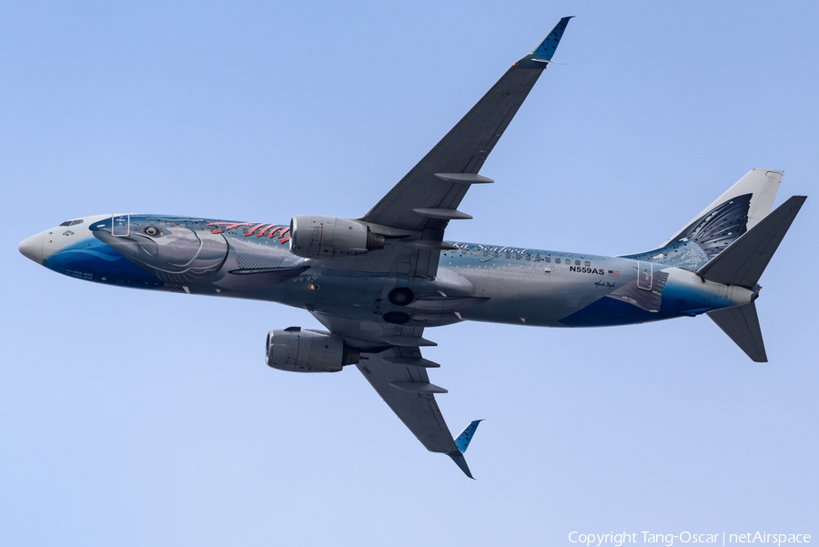 Alaska Airlines Boeing 737-890 (N559AS) | Photo 294142