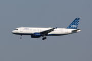 JetBlue Airways Airbus A320-232 (N559JB) at  New York - John F. Kennedy International, United States