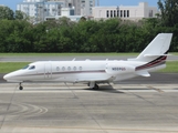 NetJets Cessna 680A Citation Latitude (N559QS) at  San Juan - Luis Munoz Marin International, Puerto Rico