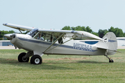 (Private) Aviat A-1B Husky (N55MA) at  Oshkosh - Wittman Regional, United States