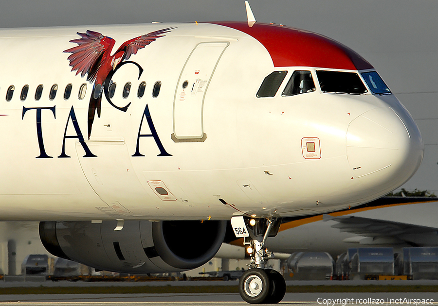 TACA International Airlines Airbus A321-231 (N564TA) | Photo 63748