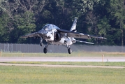 Polaris Program Dassault-Dornier Alpha Jet A (N572AJ) at  Oshkosh - Wittman Regional, United States