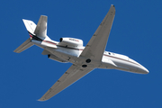 NetJets Cessna 680A Citation Latitude (N585QS) at  Phoenix - Sky Harbor, United States