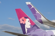 Hawaiian Airlines Boeing 767-3CB(ER) (N590HA) at  Madison - Dane County Regional, United States