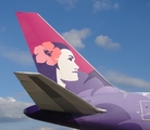 Hawaiian Airlines Boeing 767-3CB(ER) (N590HA) at  Madison - Dane County Regional, United States