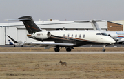 Flexjet Bombardier BD-100-1A10 Challenger 350 (N591FX) at  Dallas - Addison, United States