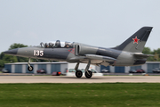 (Private) Aero L-39C Albatros (N600DM) at  Oshkosh - Wittman Regional, United States