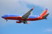 Southwest Airlines Boeing 737-3H4 (N601WN) at  Tampa - International, United States
