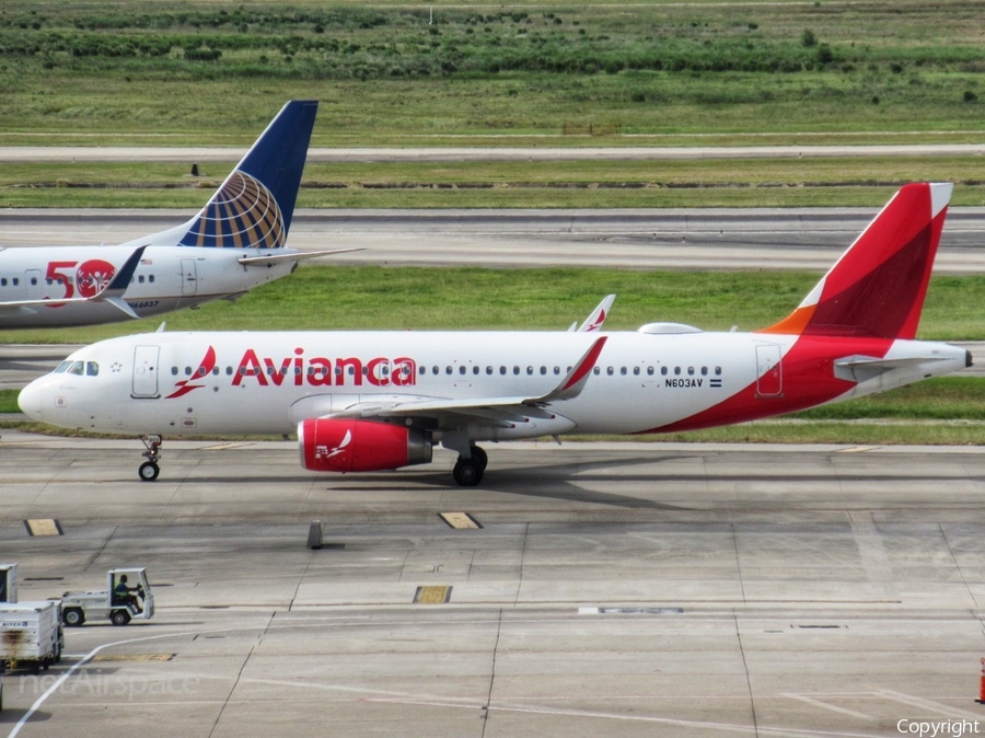 Avianca El Salvador Airbus A320-233 (N603AV) | Photo 348260