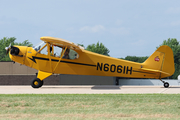 (Private) Piper J3C-65 Cub (N6061H) at  Oshkosh - Wittman Regional, United States