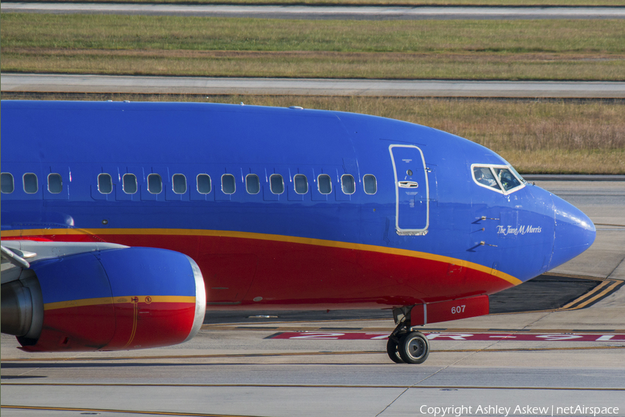 Southwest Airlines Boeing 737-3H4 (N607SW) | Photo 88768