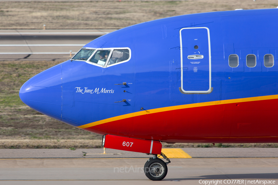 Southwest Airlines Boeing 737-3H4 (N607SW) | Photo 21239