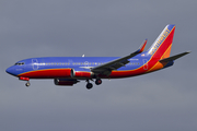 Southwest Airlines Boeing 737-3H4 (N607SW) at  Seattle/Tacoma - International, United States