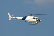 United States Customs and Border Protection Eurocopter AS350B2 Ecureuil (N6098U) at  Dallas - Addison, United States