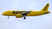 Spirit Airlines Airbus A320-232 (N613NK) at  Ft. Lauderdale - International, United States