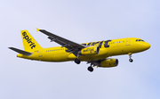 Spirit Airlines Airbus A320-232 (N614NK) at  Seattle/Tacoma - International, United States