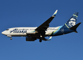 Alaska Airlines Boeing 737-790 (N619AS) at  Dallas/Ft. Worth - International, United States