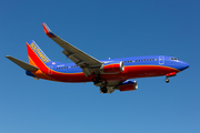 Southwest Airlines Boeing 737-3H4 (N619SW) at  Dallas - Love Field, United States