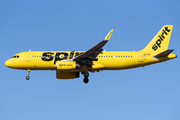 Spirit Airlines Airbus A320-232 (N620NK) at  Windsor Locks - Bradley International, United States