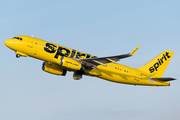Spirit Airlines Airbus A320-232 (N620NK) at  Tampa - International, United States