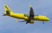 Spirit Airlines Airbus A320-232 (N624NK) at  Seattle/Tacoma - International, United States