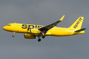 Spirit Airlines Airbus A320-232 (N625NK) at  Windsor Locks - Bradley International, United States