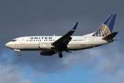 United Airlines Boeing 737-524 (N62631) at  Newark - Liberty International, United States