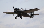 (Private) General Motors FM-2 Wildcat (N6290C) at  Oshkosh - Wittman Regional, United States