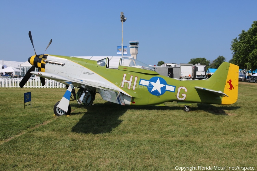 (Private) North American P-51D Mustang (N6306T) | Photo 355237